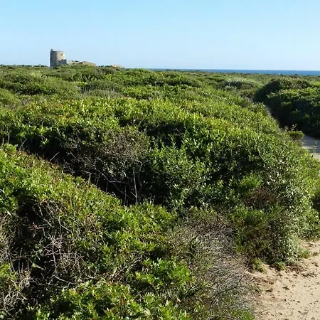 La Terrazza Sul Parco Lejlighed Oristano